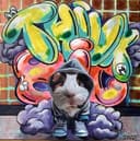 <meta name="google-site-verification" content="7n7A0_mlasNYqoUs1e89mAvXAq5rJasv5S8ToaumCS4" />